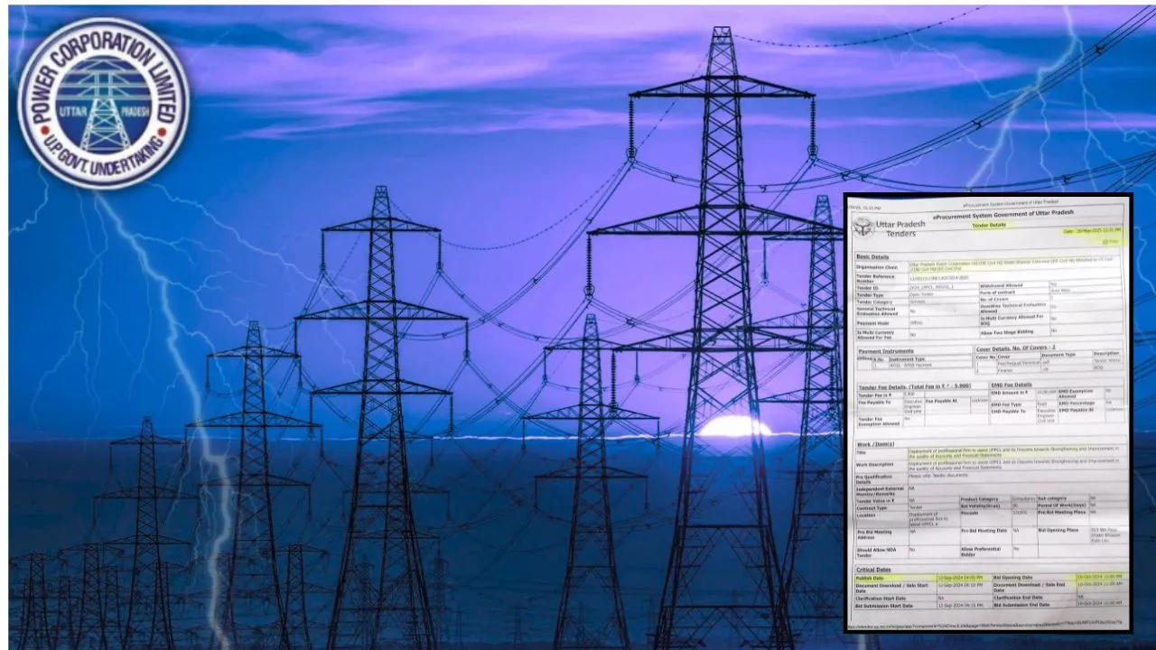 electriciry privatisation tender