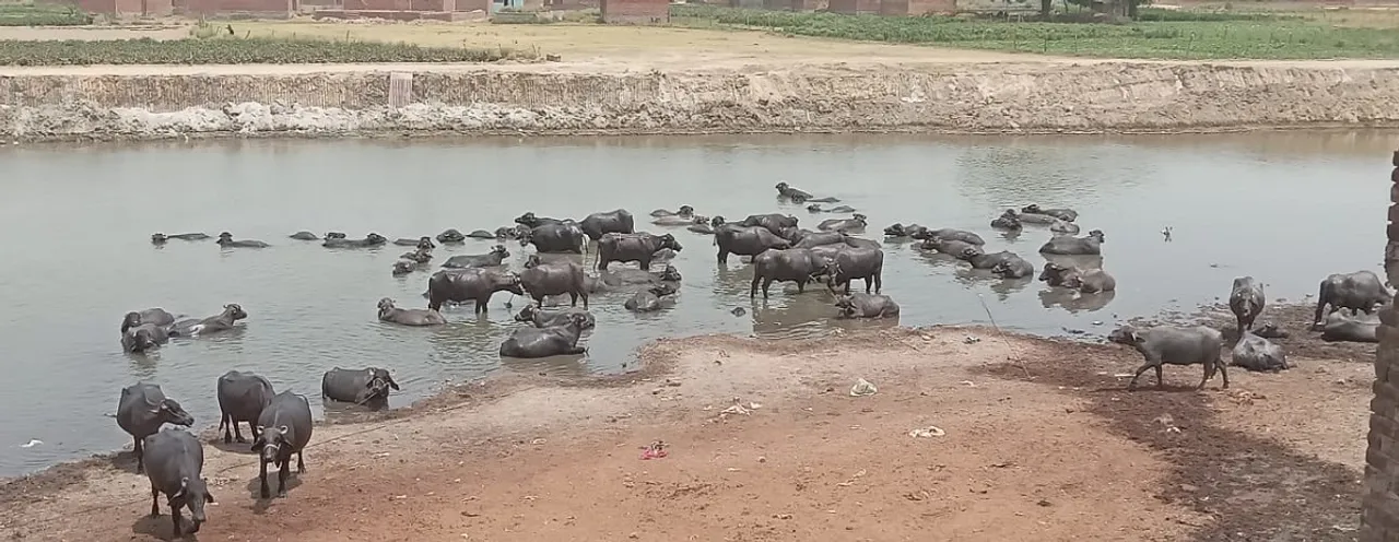 शाहजहांपुर