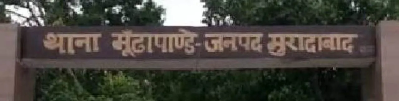 वाईबीएन