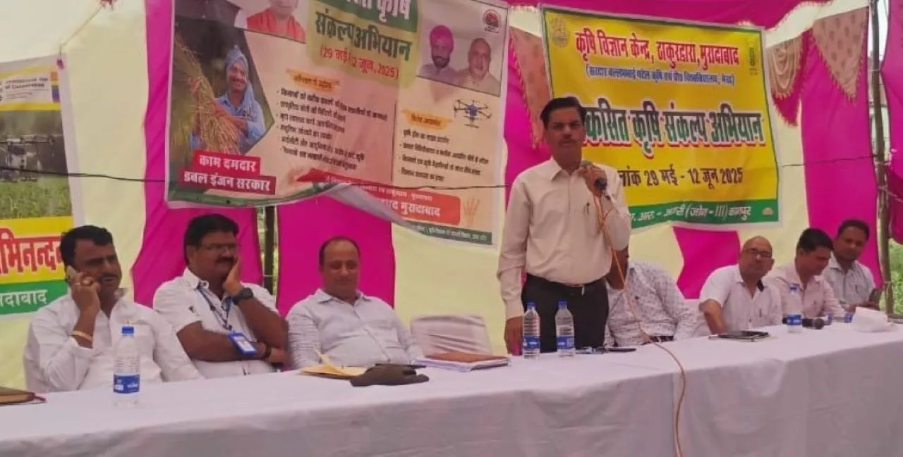 वाईबीएन