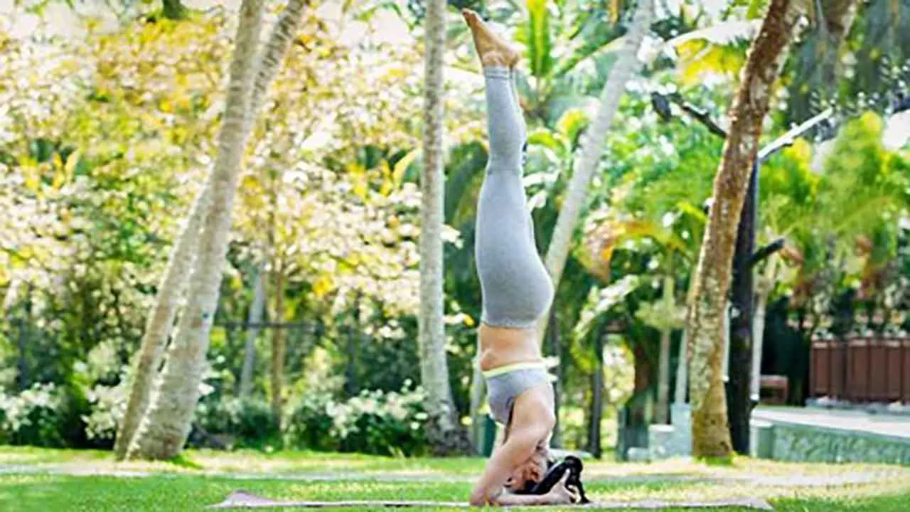 YOGANEWS