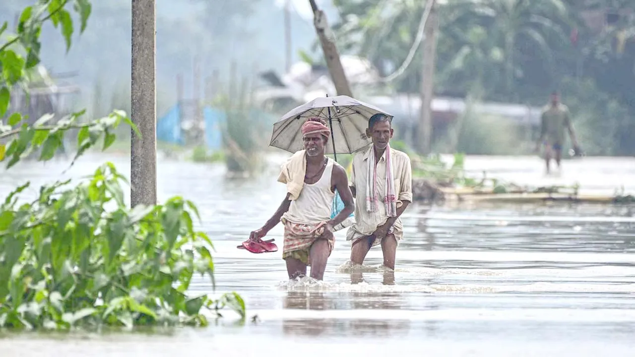 असम बाढ़ प्रभावित इलाका: भारी बारिश के बाद डूबे गांव और राहत कार्य | यंग भारत