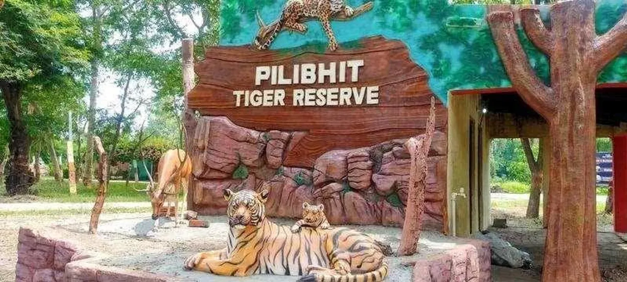 tigher