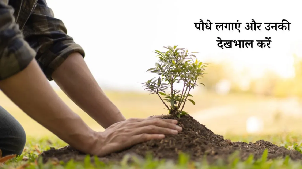 kashi Enviroment