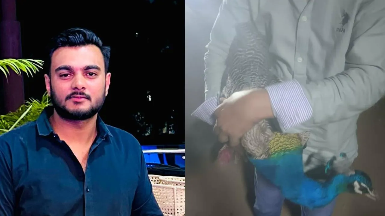 प्रथम चौधरी