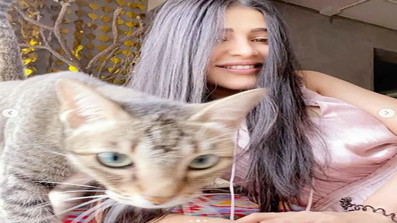 ActressShrutiHaasan