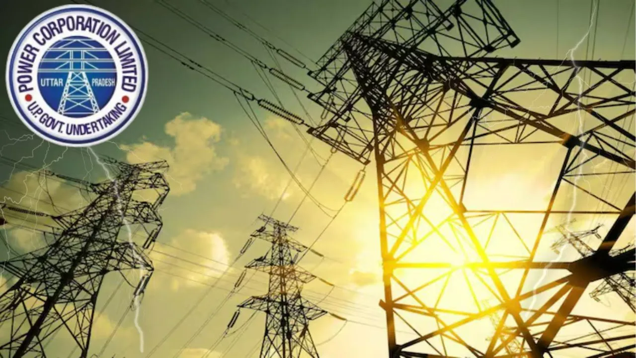 electricity privatisation