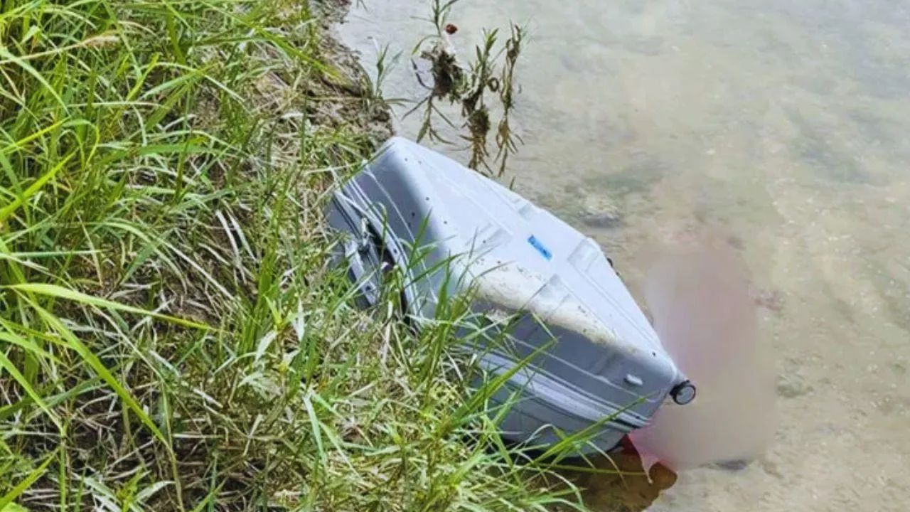dead body in suitcase