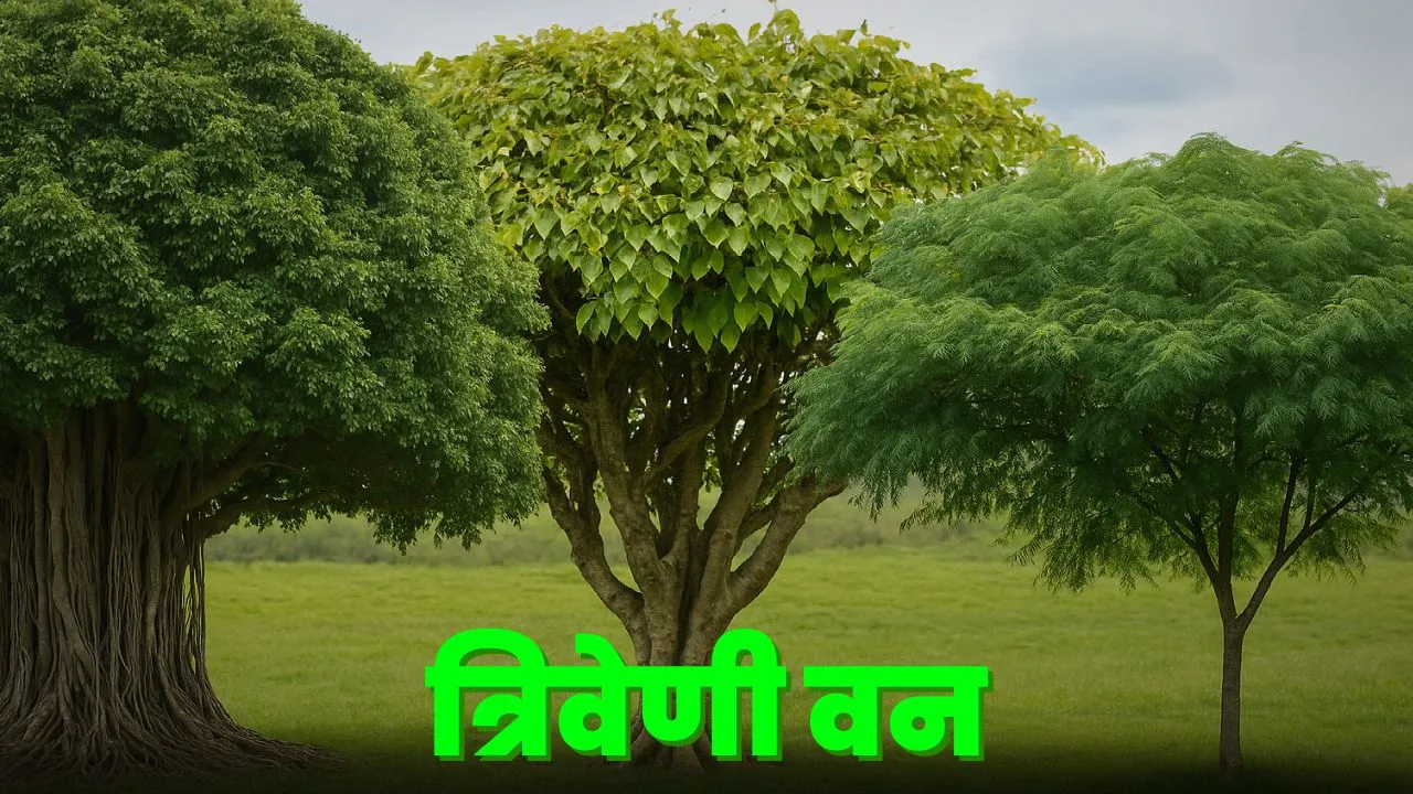 त्रिवेणी वन