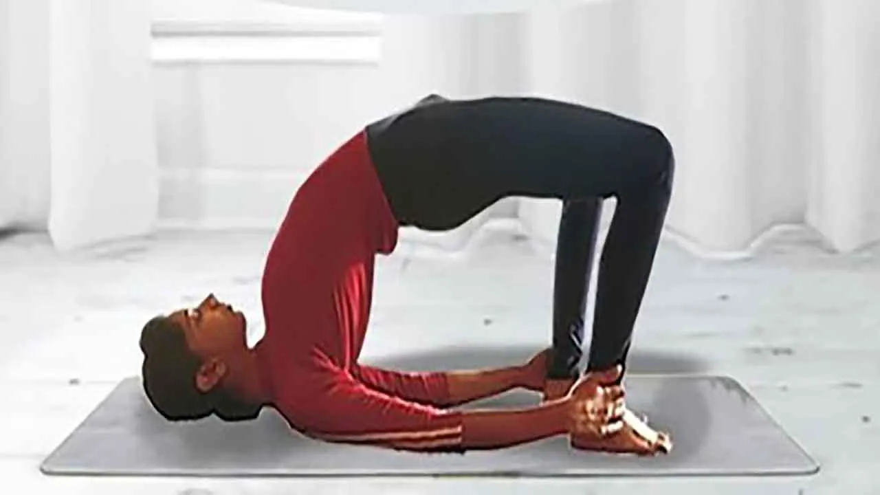 yogabody