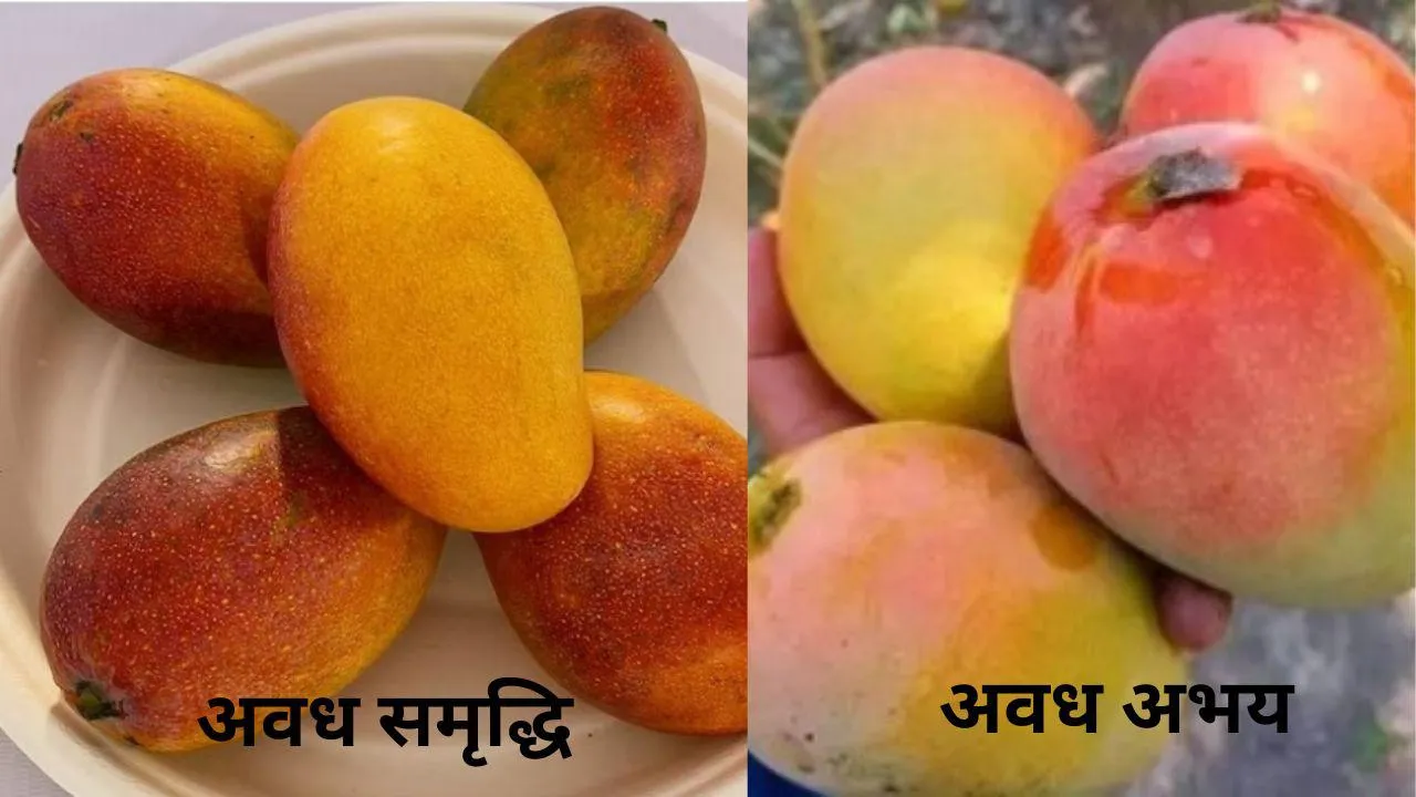 ‘अवध अभय’ और ‘अवध समृद्धि