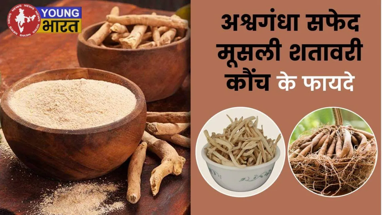Ashavgandha