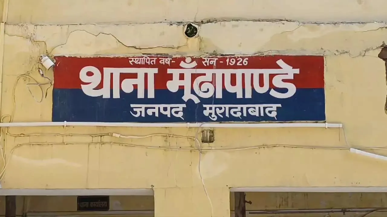 वाईबीएन 