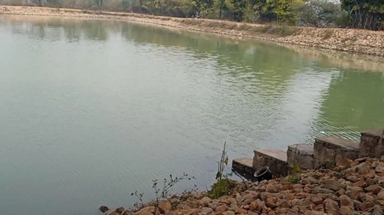 वाईबीएन