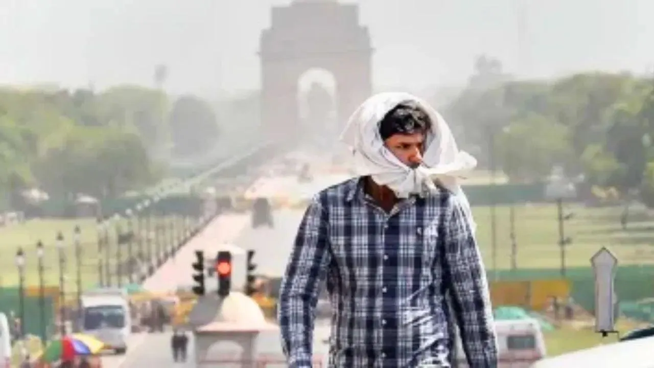 Delhi- NCR Heatwave