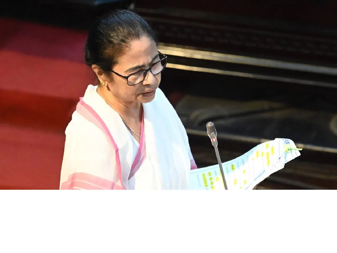 Mamata Banerjee in the state assembly