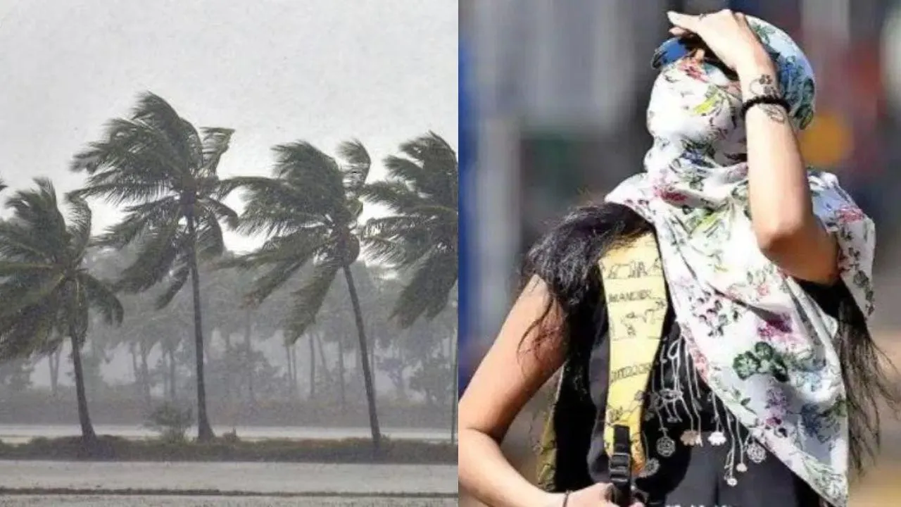 India weather update 11 june 2025