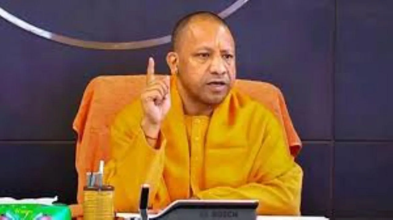 वाईबीएन 
