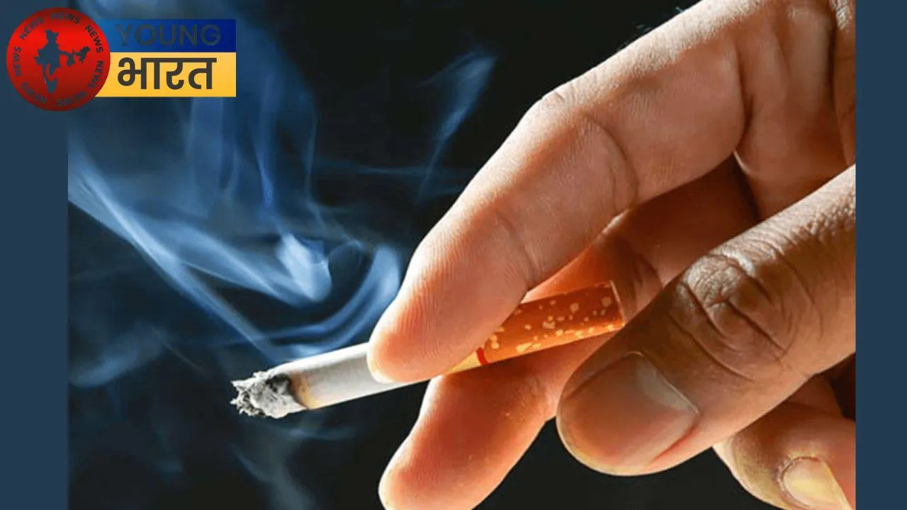 cigarette tambaku