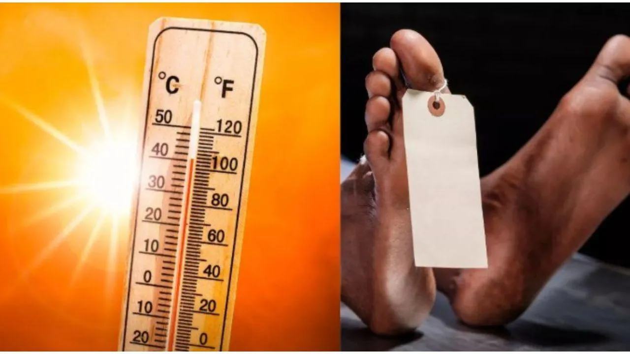 heat stroke death