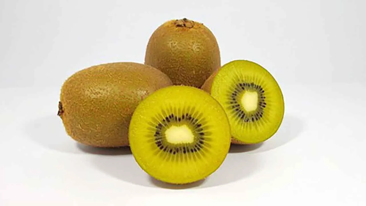 KiviFruit