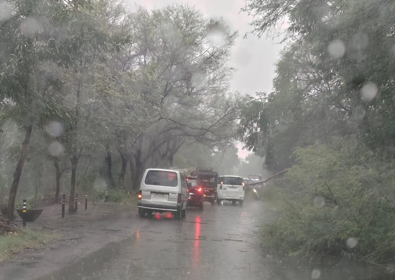 पांकी-मेदिनीनगर पथ के नीमाचक गांव में तेज आंधी-बारिश से गिरा पेड़