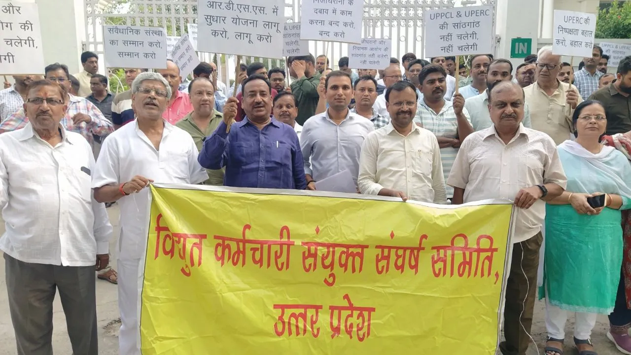electricity privatisation 22