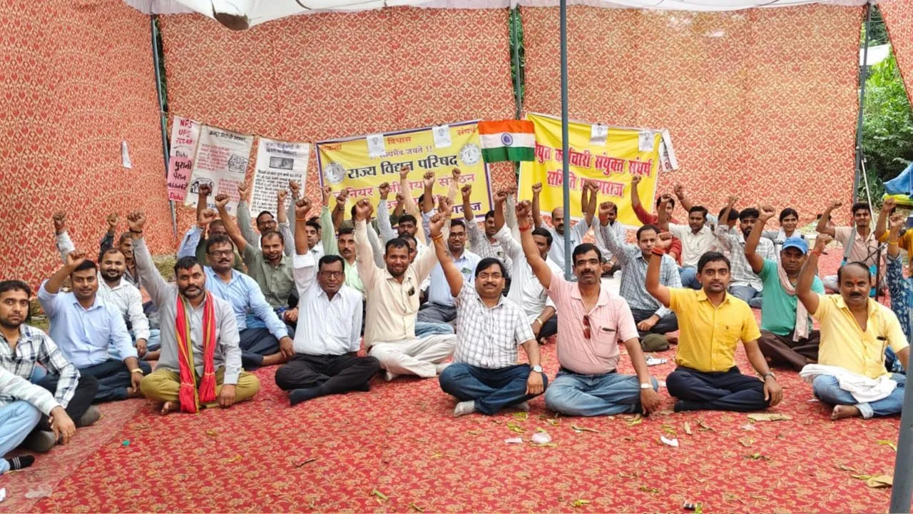 electricity privatisaton protest