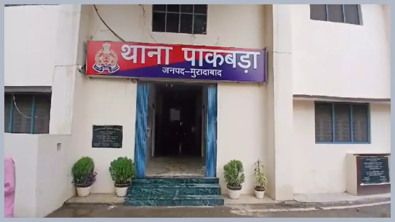 वाईबीएन 