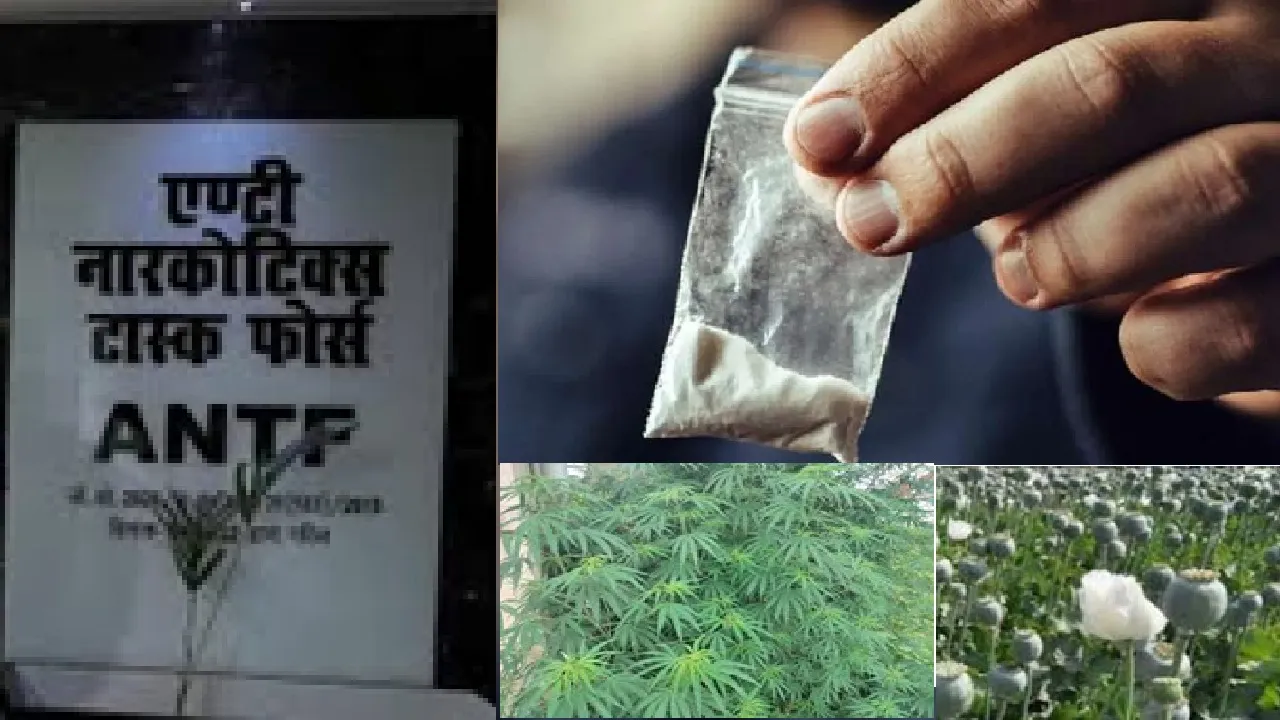 एएनटीएफ