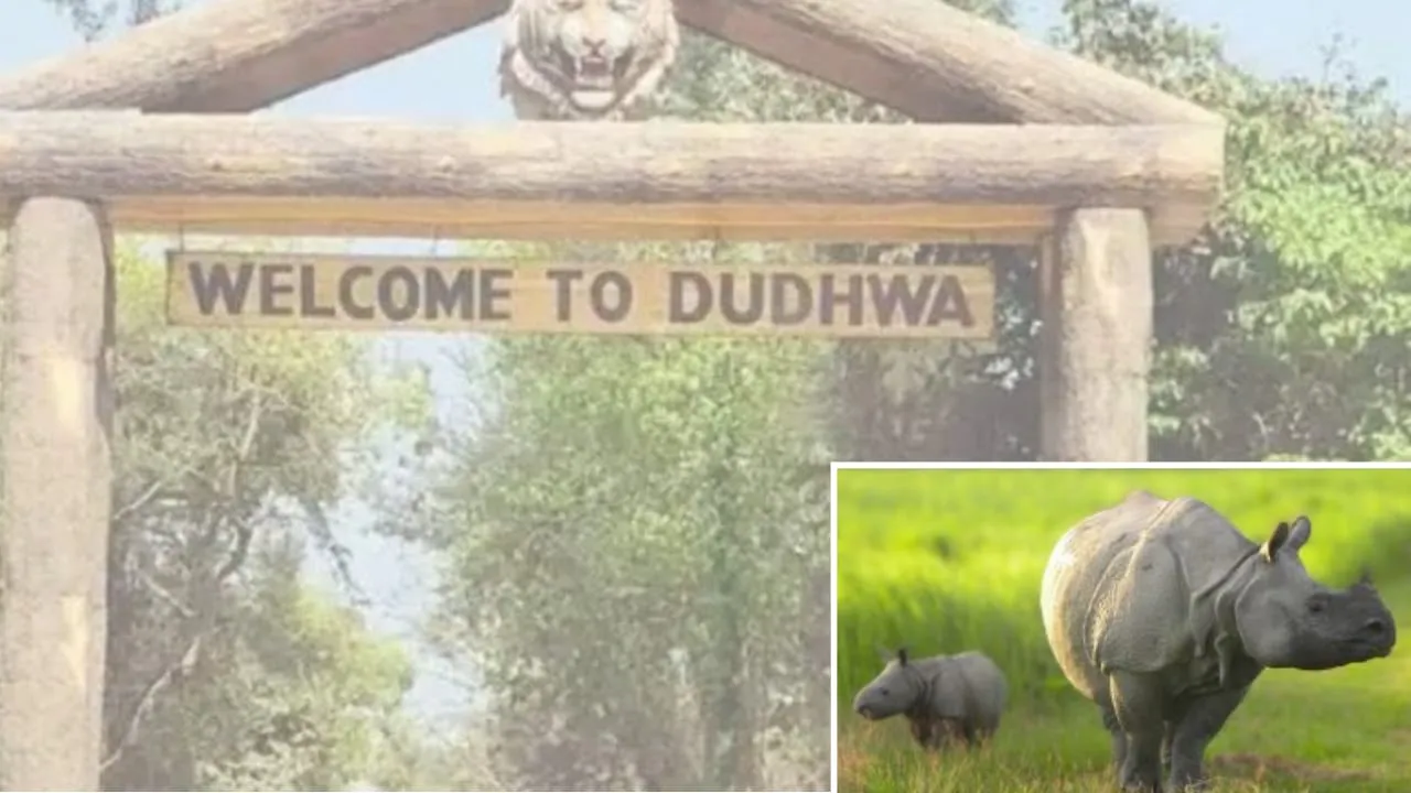 Dudhwa National Park