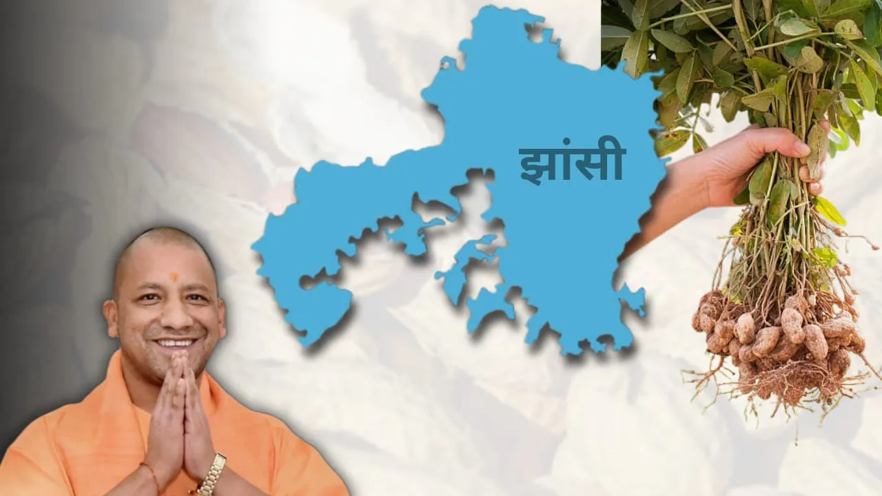 Yogi government developing Jhansi as a peanut cluster