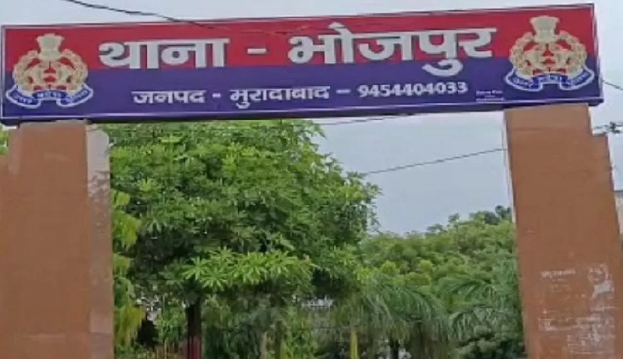 वाईवीएन