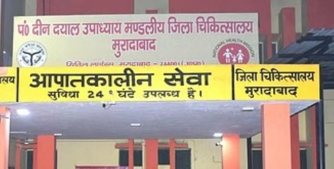 वाईवीएन