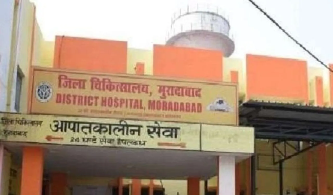 वाईवीएन