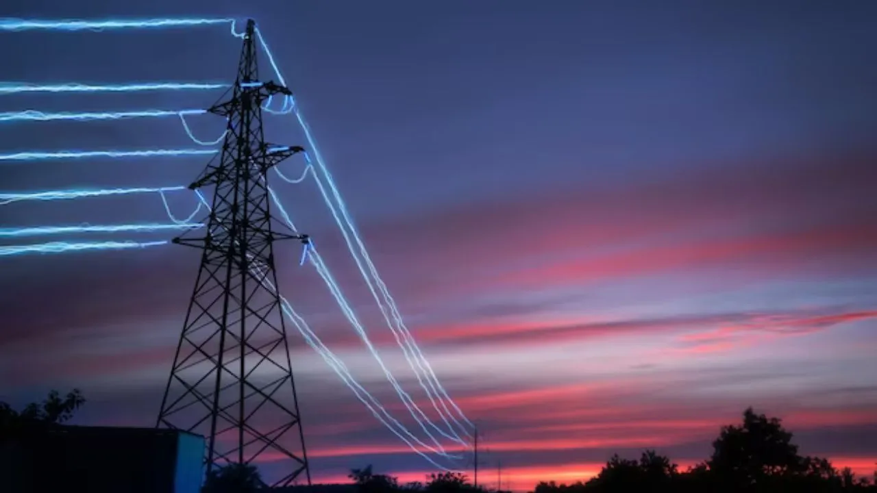 electricity privatisation
