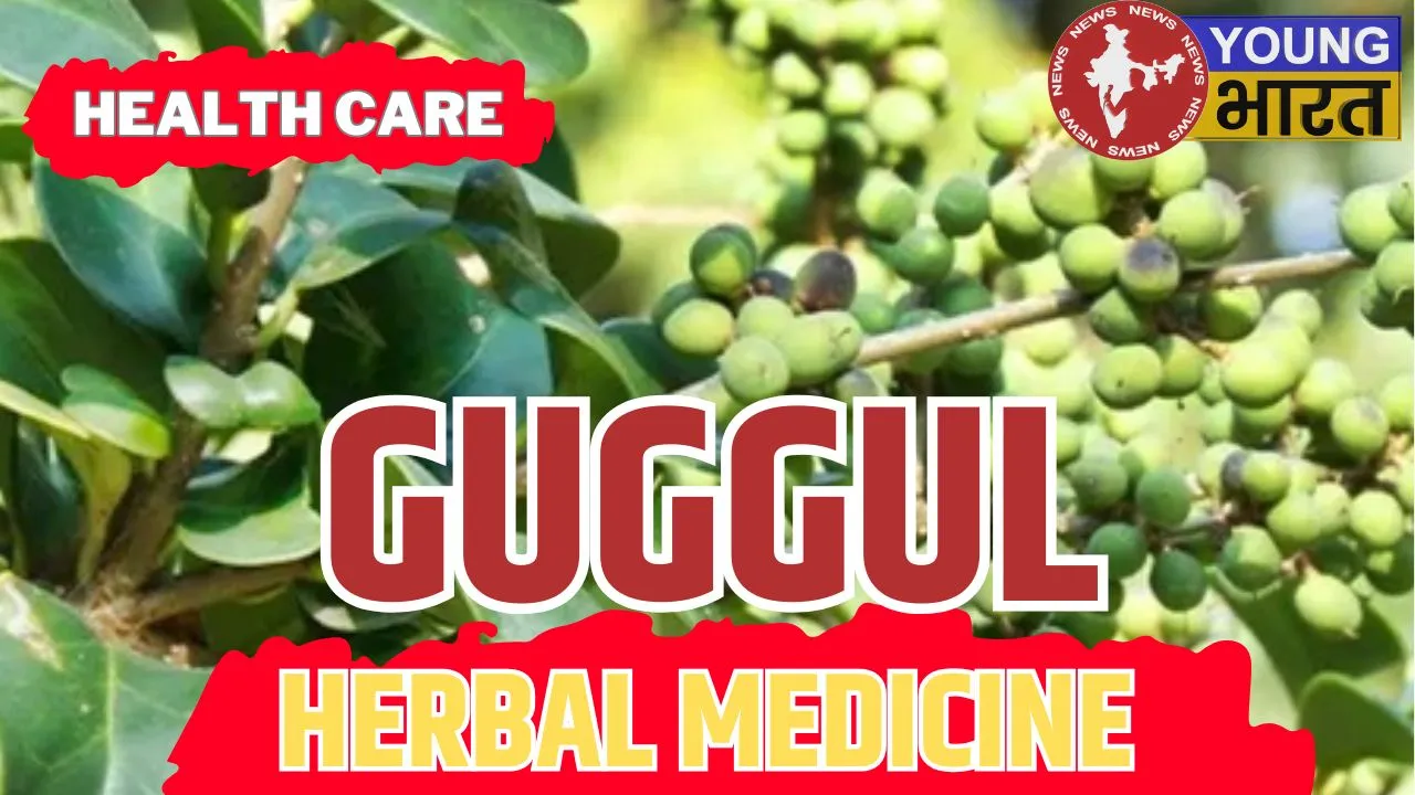 HERBAL MEDICIN