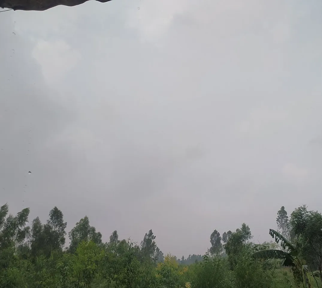 अगले 24 घंटे में बूंदाबांदी के आसार
