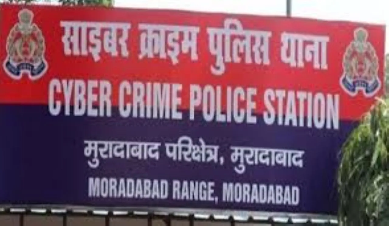 वाईवीएन