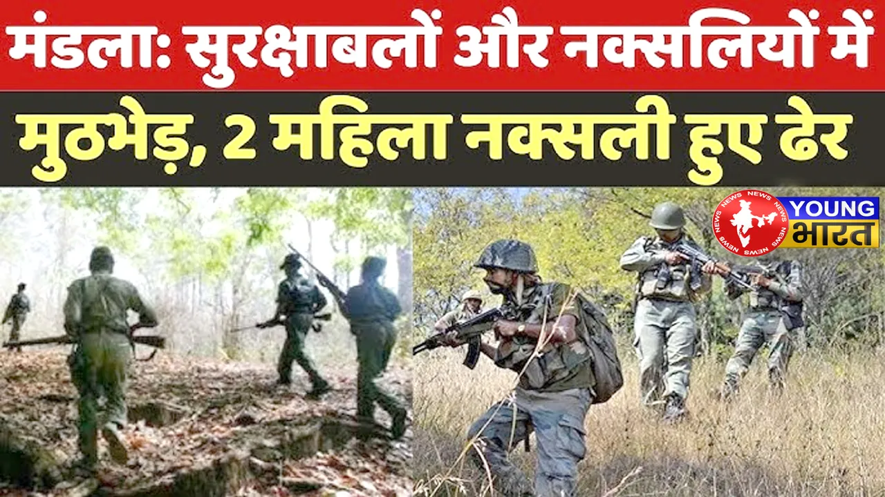 Chhattisgarh Breaking : नक्सलियों का बड़ा खेल खत्म? दो खूंखार महिला नक्सलियों का एनकाउंटर | यंग भारत न्यूज