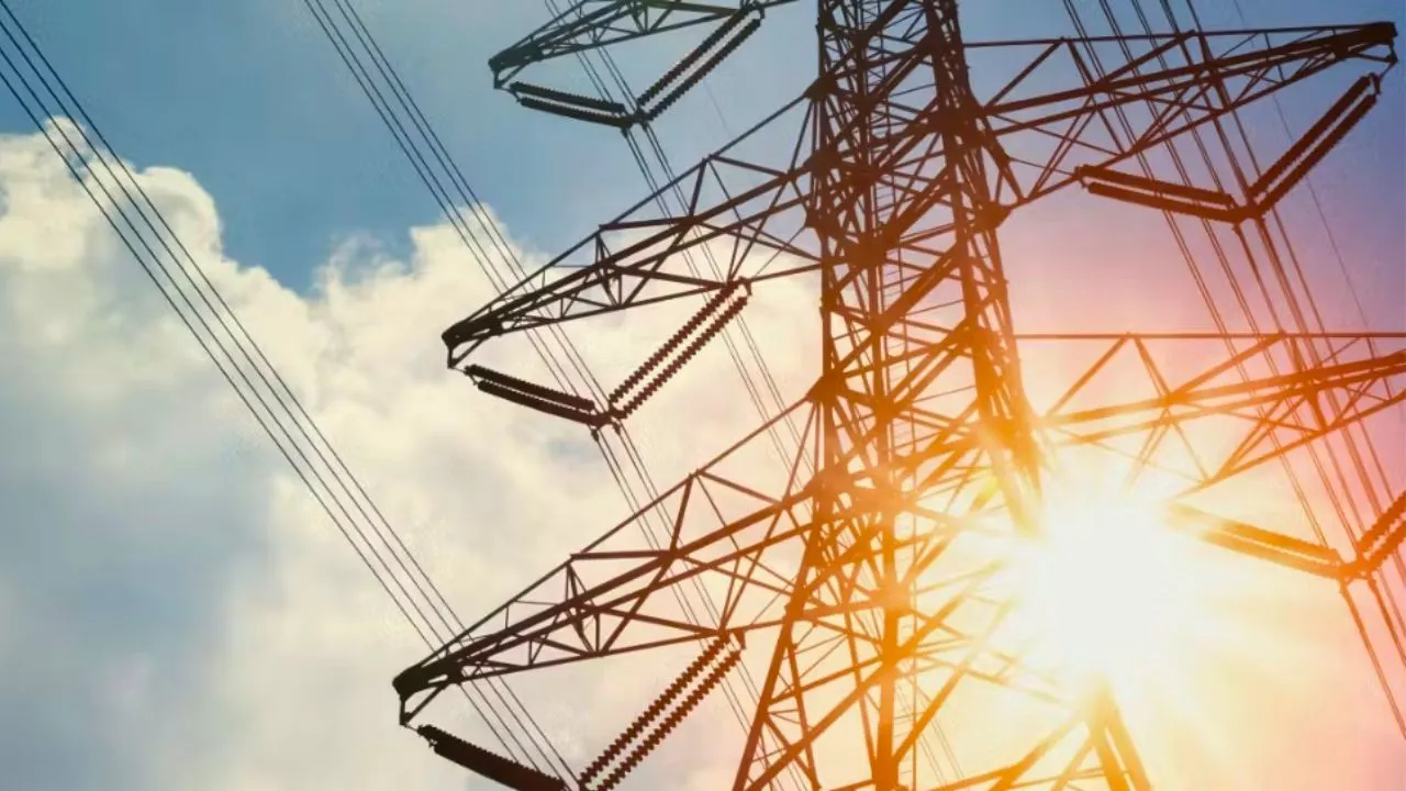 electricity privatisation up