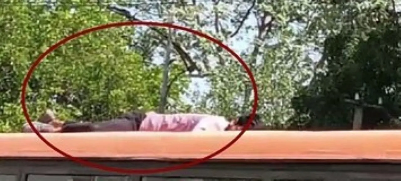 वाईवीएन
