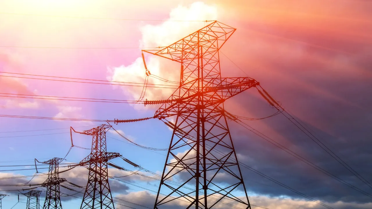 electricity privatisation