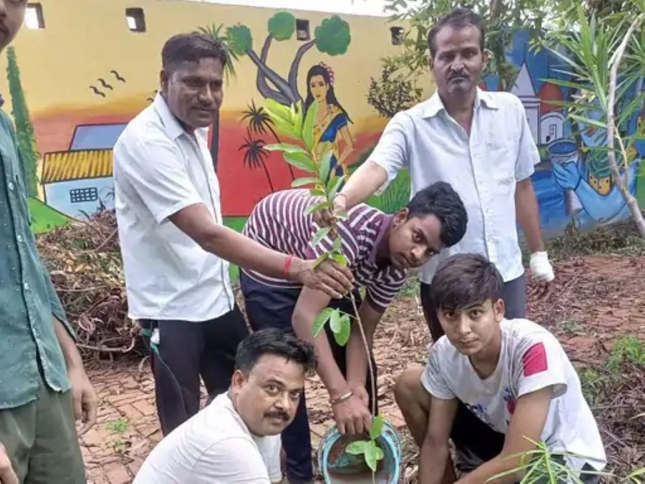 वाईवीएन