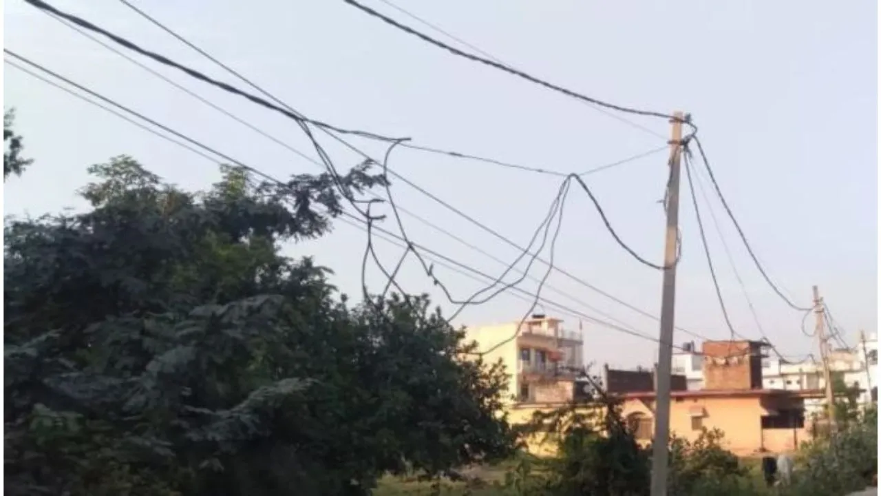 electricity theft