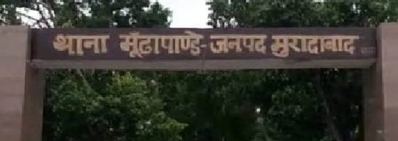 वाईवीएन