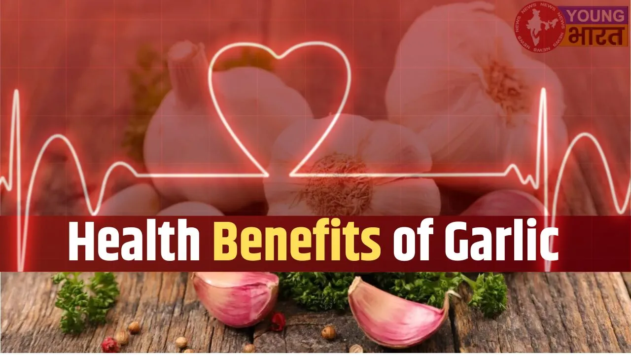 Health benefits of garlic