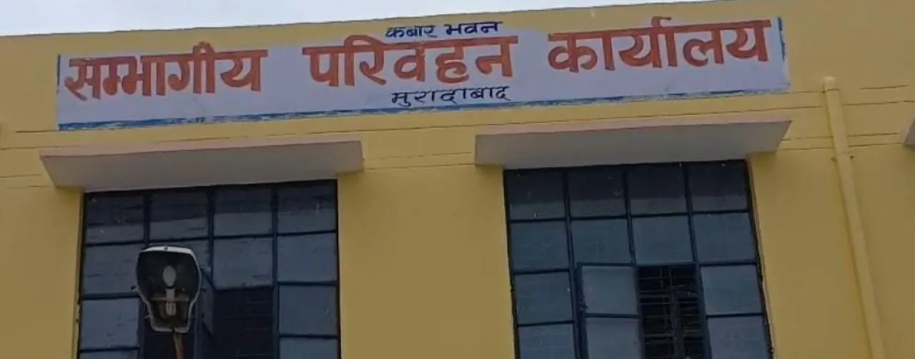 वाईवीएन