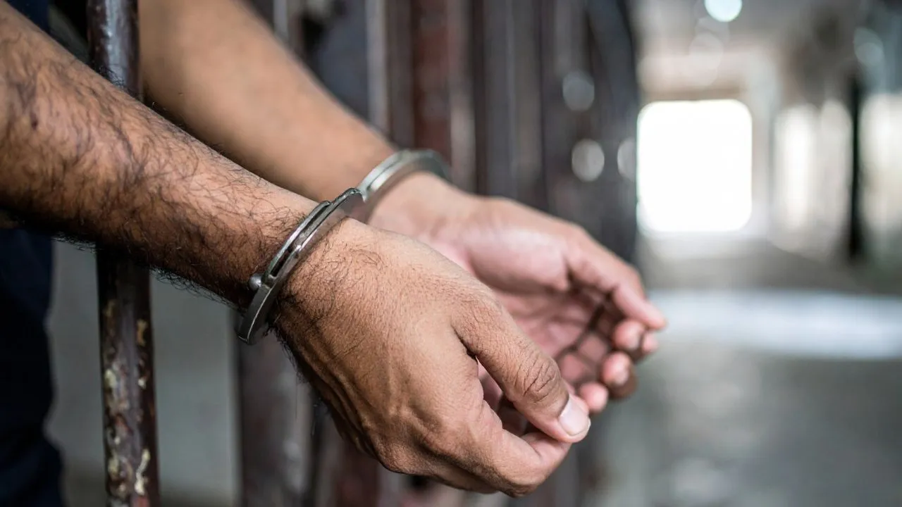crime, rape news