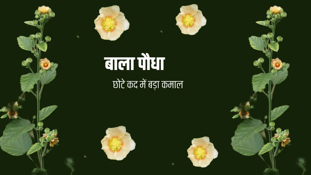 Your paragraph text (3)